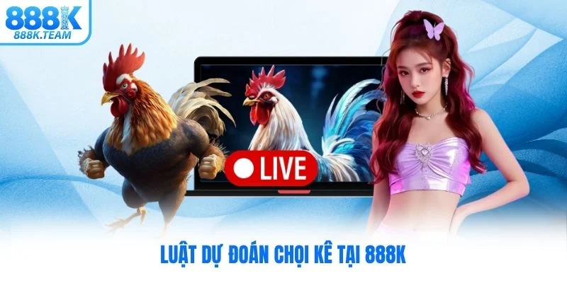 Luật dự đoán chọi kê tại 888K